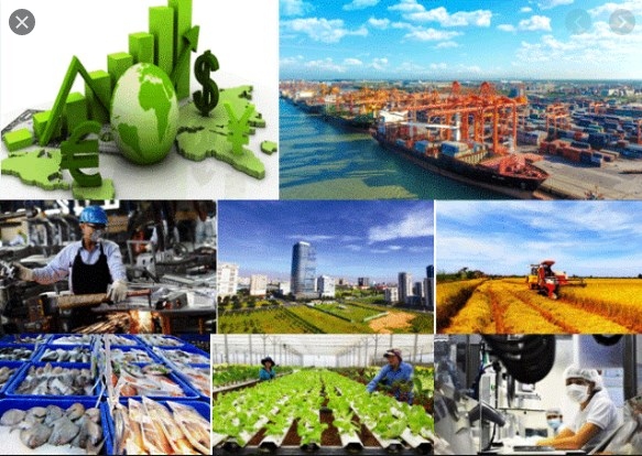 German media shine spotlight on prospects of Vietnamese market